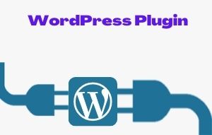 WordPress Plugin