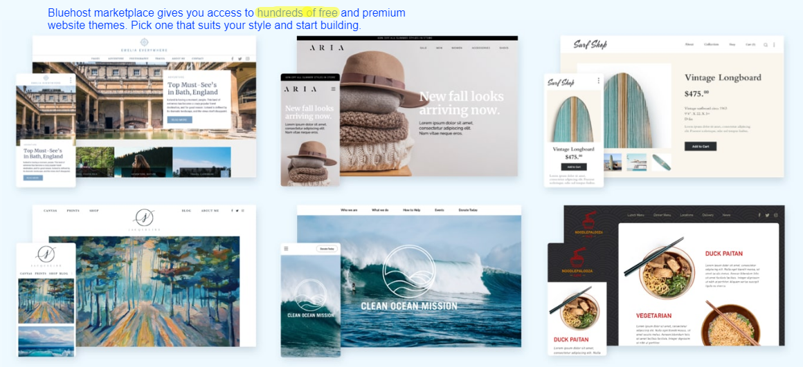 Some themes of the Bluehost to start a website