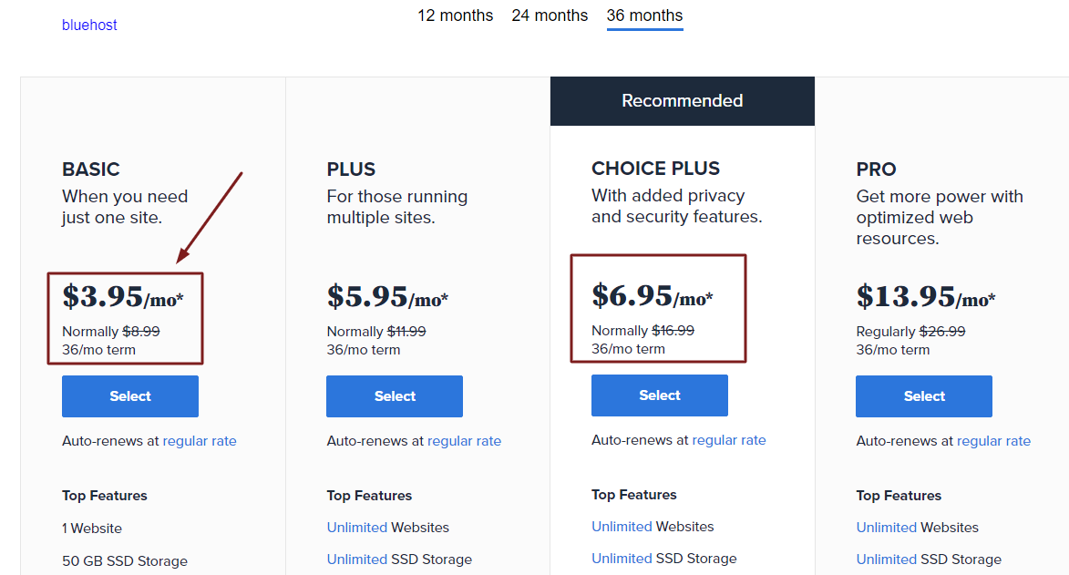 Different types of Bluehost package price